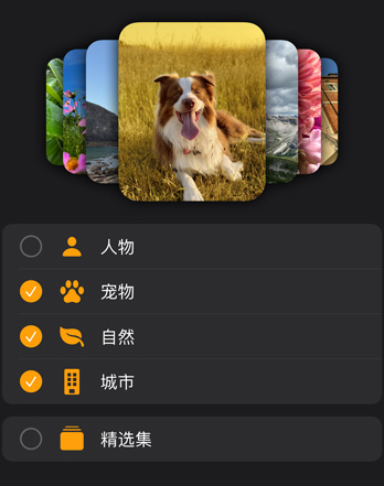 多个 Apple Watch 照片表盘叠放在筛选菜单上方